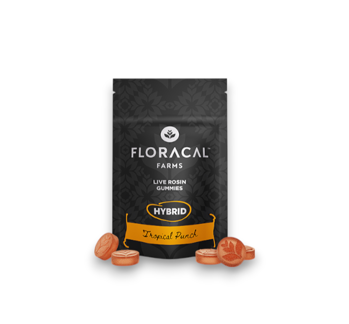 Tropical Punch Gummies