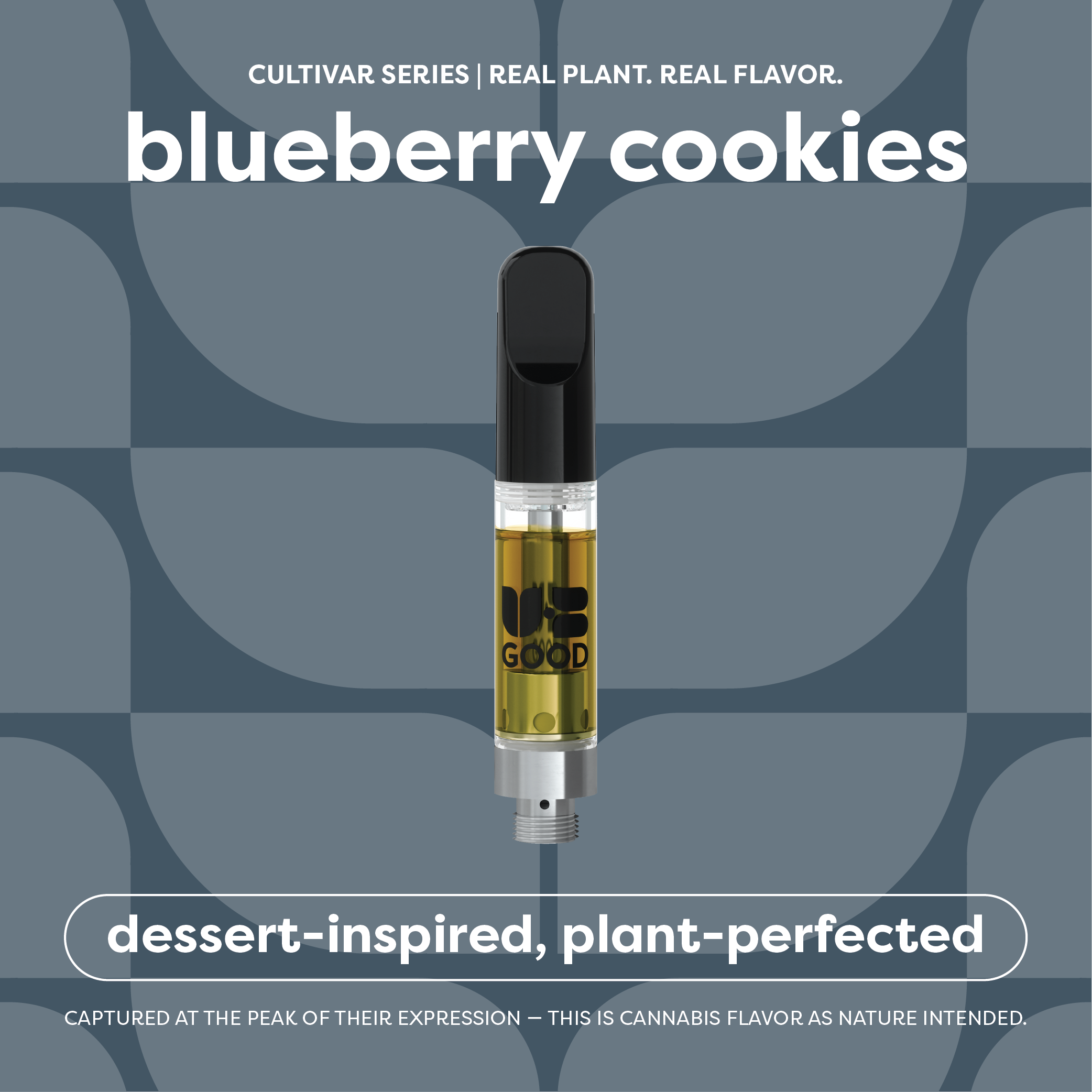 Blueberry Cookies