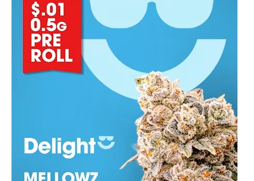 Delight - Mellowz Flower