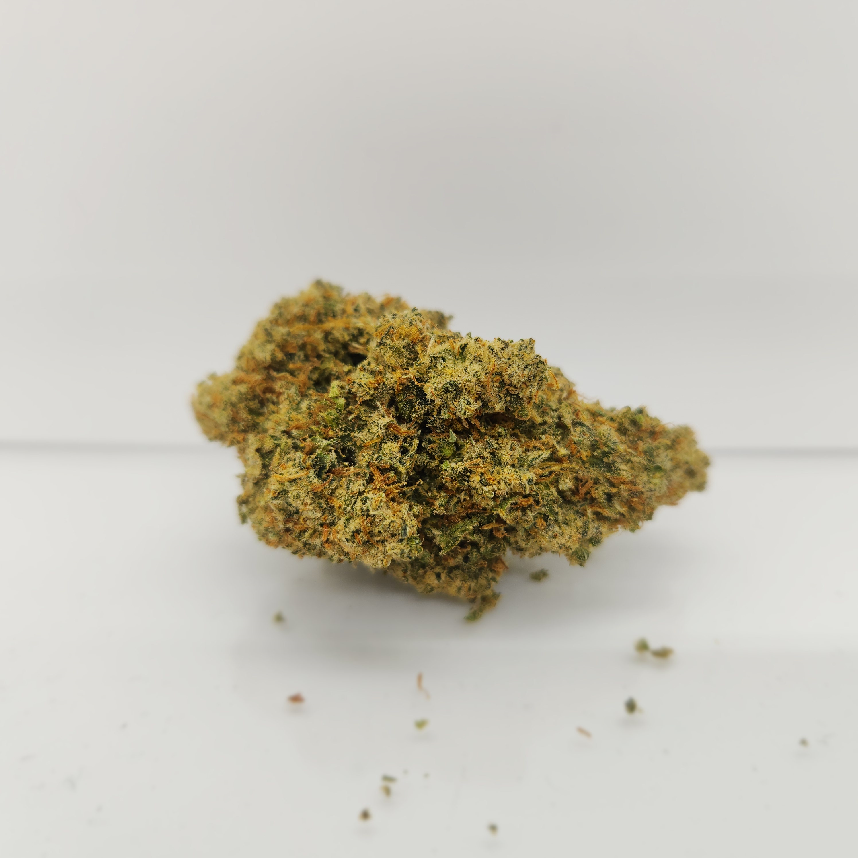 Haze Harvested 10/5/25