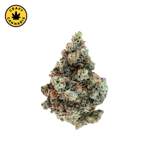 Country Club | 7g