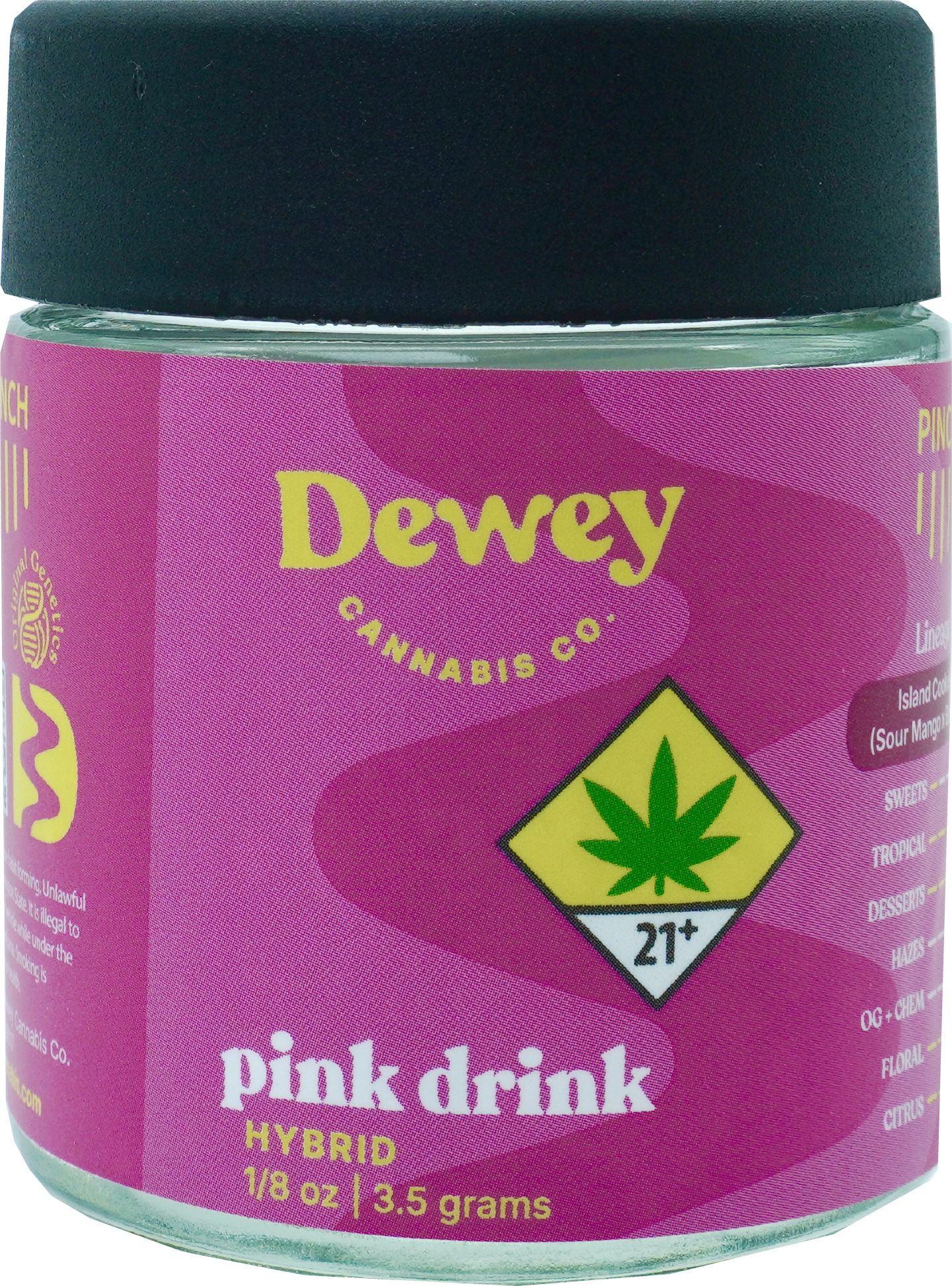 Pink Drink - Signature Flower (DOH)