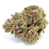 (57368) SAVVY 7g Apples & Bananas Buds