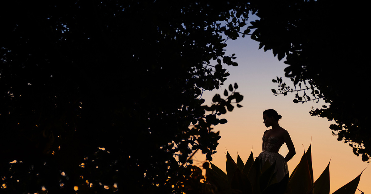 Jason Vinson | Grandmaster Series | DVLOP