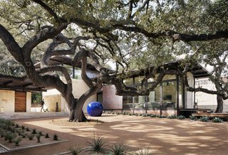 "We had these incredible live oak trees, and so we built the house around the trees and the view," says Raike.