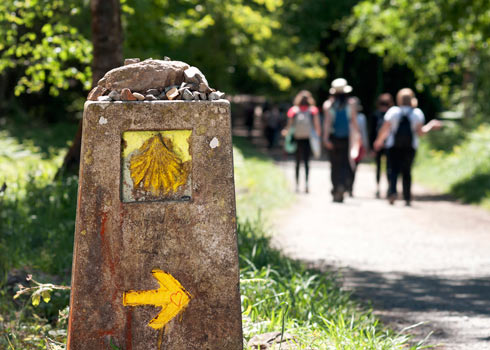 El Camino De Santiago Pilgrimage