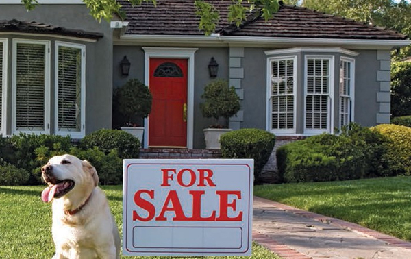 Renting population growing as Great Australian Dream fades
