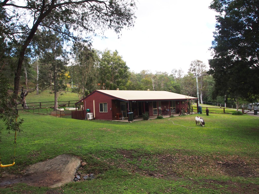 Great Real Estate Agent (Vendor and Buyer)