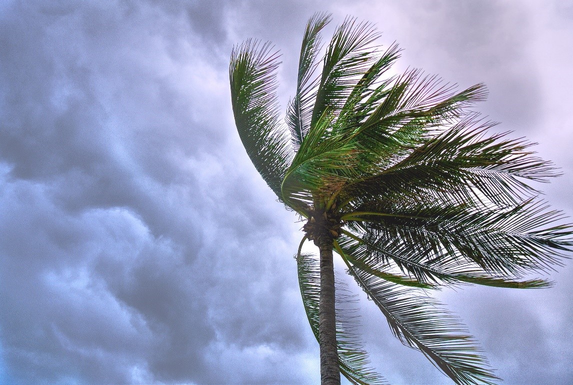 Are you storm ready?