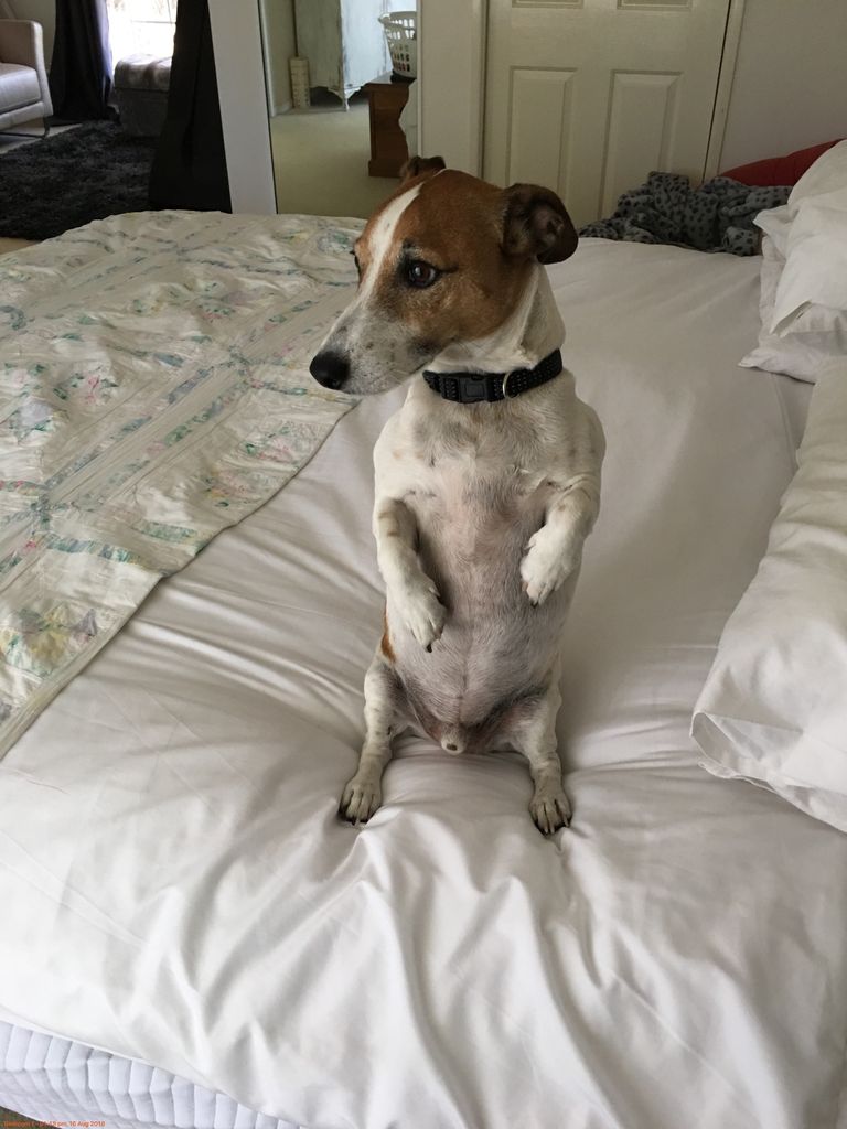 Maintenance done in timely manner, very approachable... (Tenant) 23.10.2018