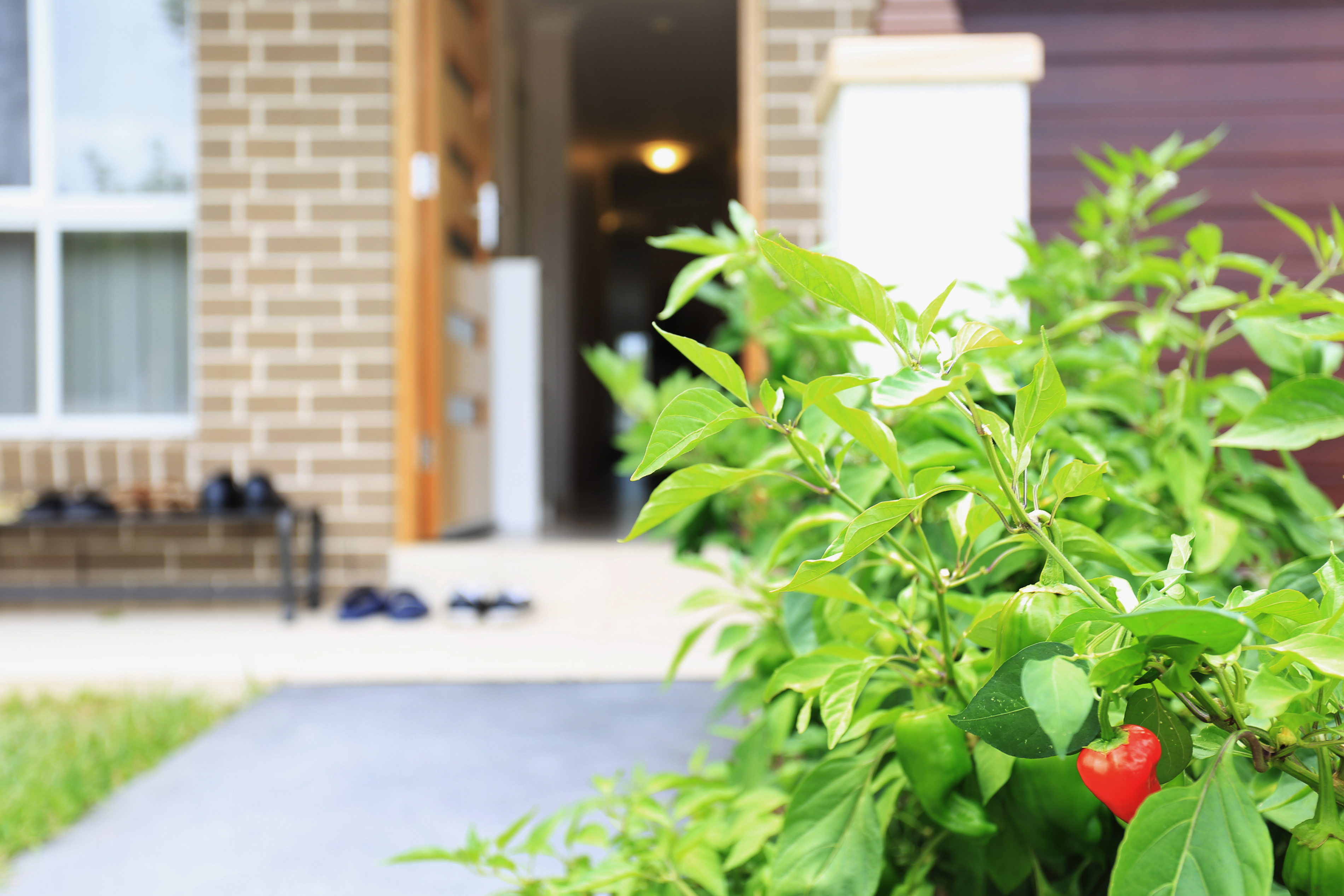 48 Wildflower Circle, Jordan Springs