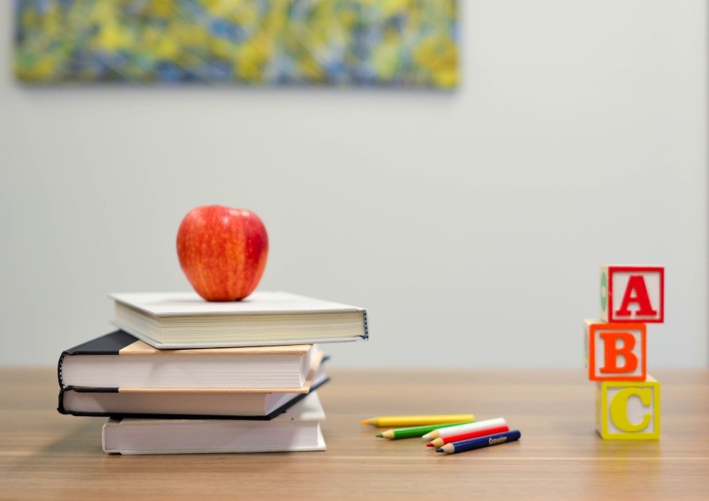 Power of buying in good school catchments