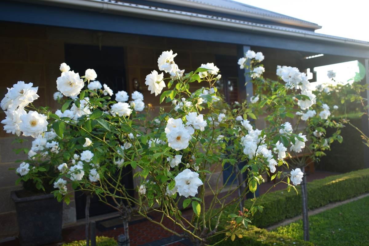 Tips for a successful spring sale