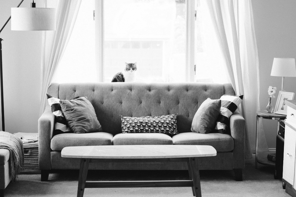 Tips Every Renter Needs to Know