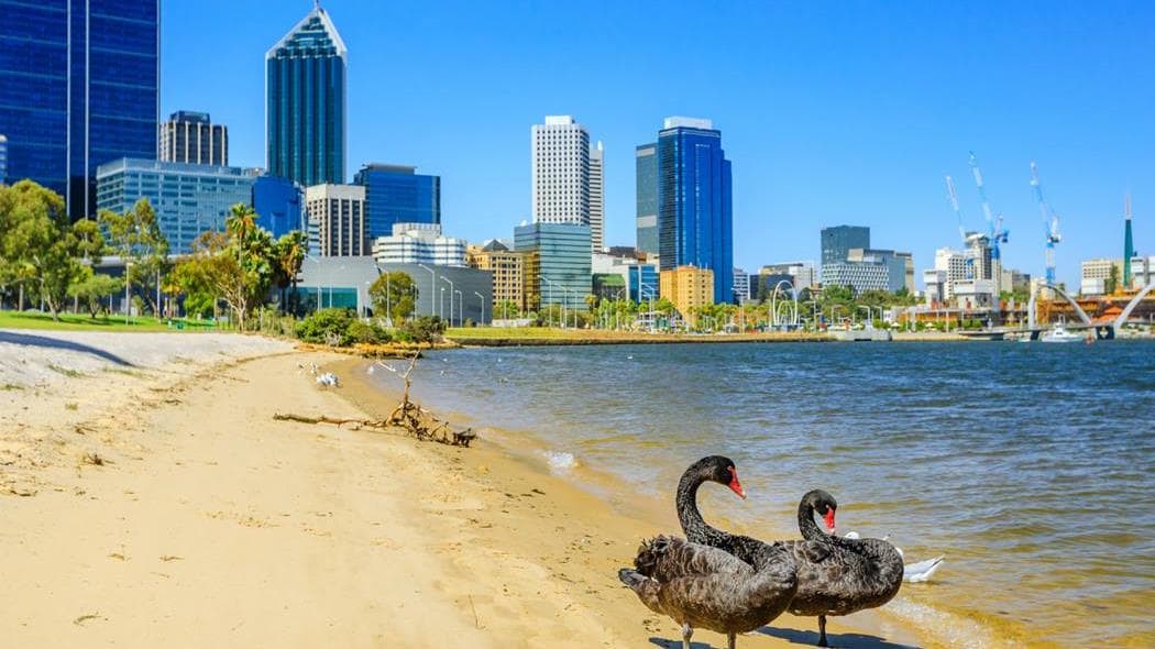 This week in the Property Pulse