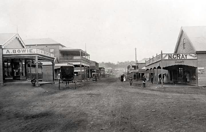 West Wallsend Real Estate