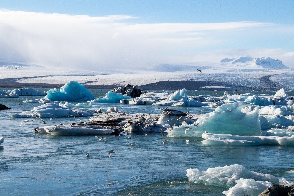 2020 The Year of Sea Change and the tree change