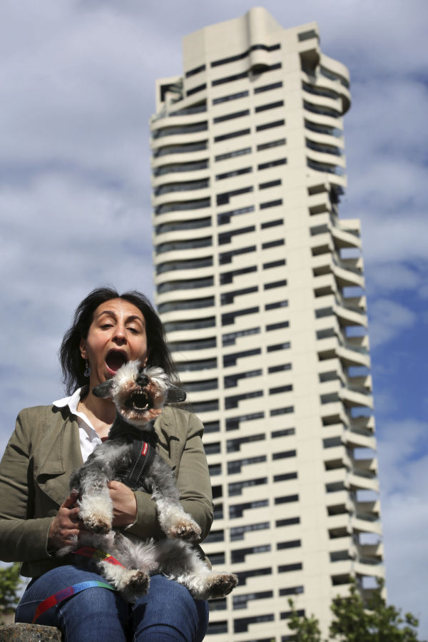PETS ARE NOW ALLOWED IN SYDNEY APARTMENTS