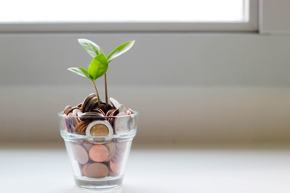 Tips Property for Sprucing up your Investment While Saving Money