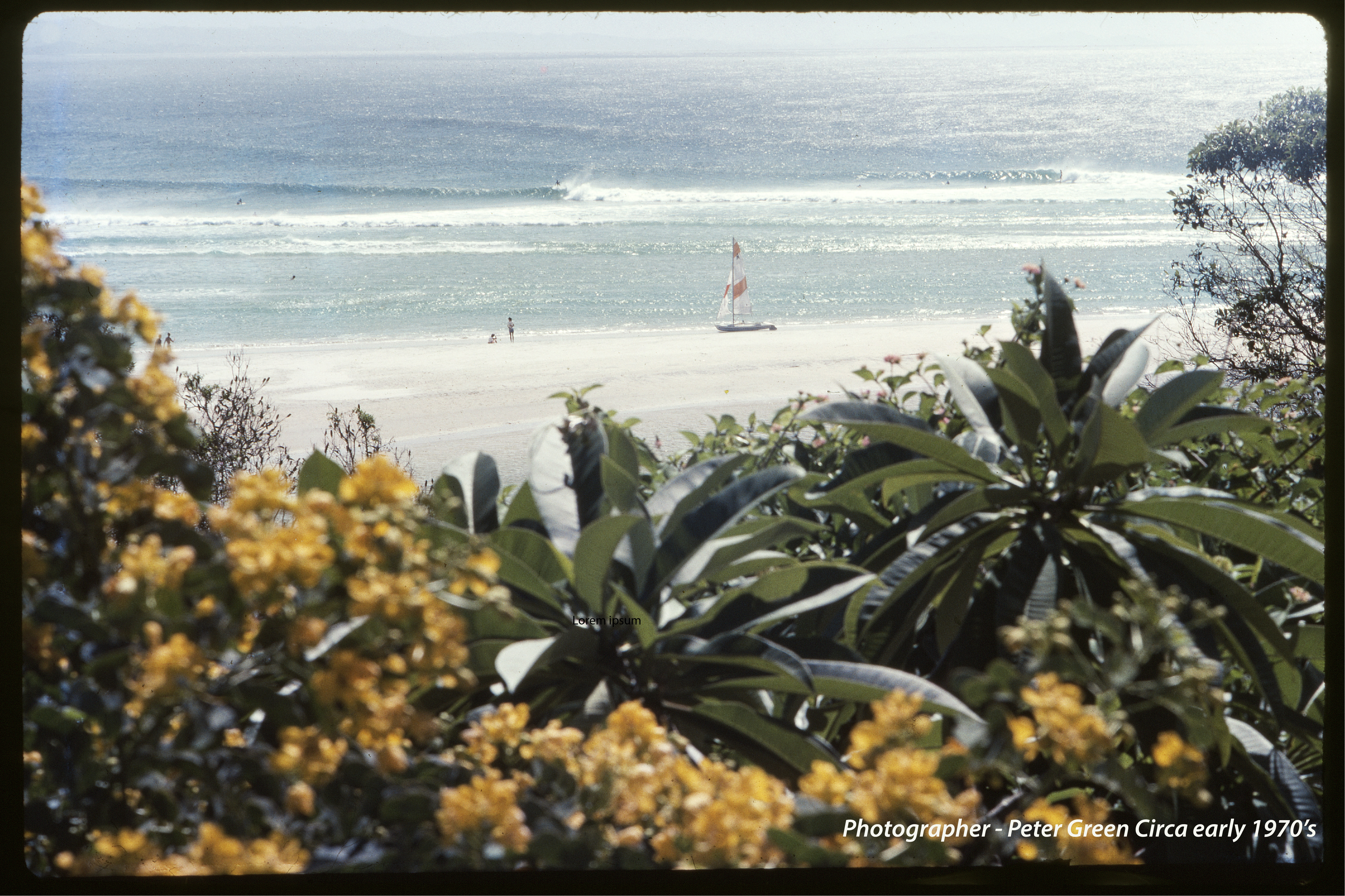 House Hunting in Byron Bay: What it’s Really Like to Live Here