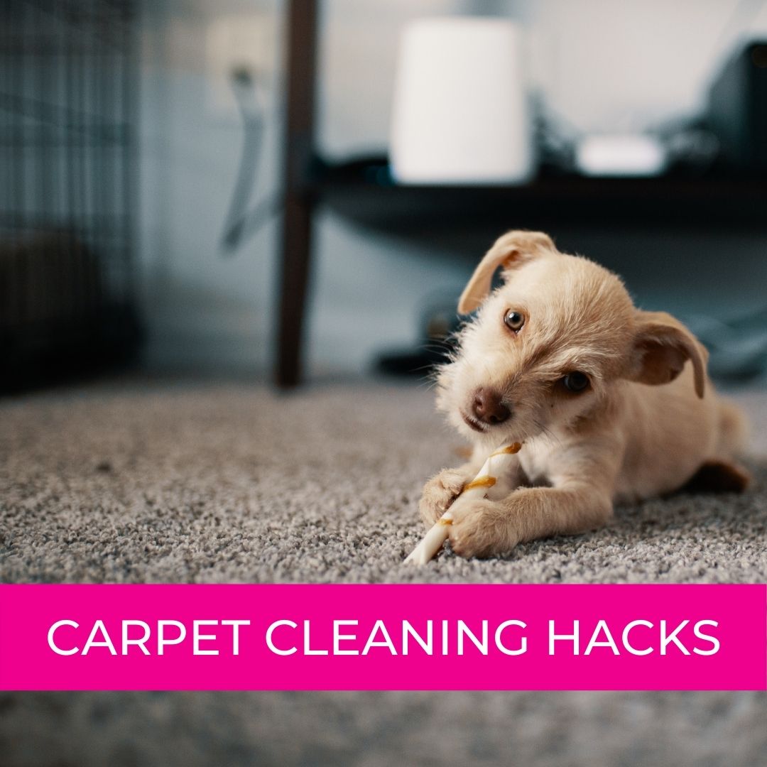 7 Carpet Cleaning Hacks You Need to Try