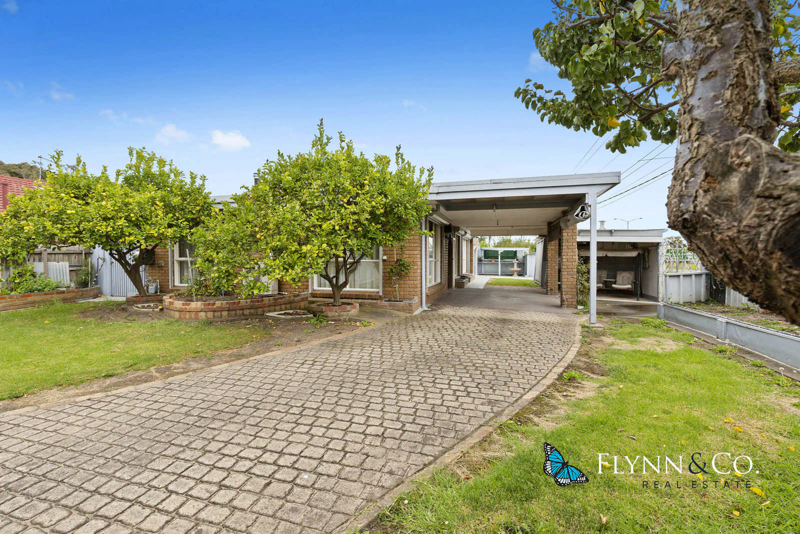 Buyer of house in Dromana,