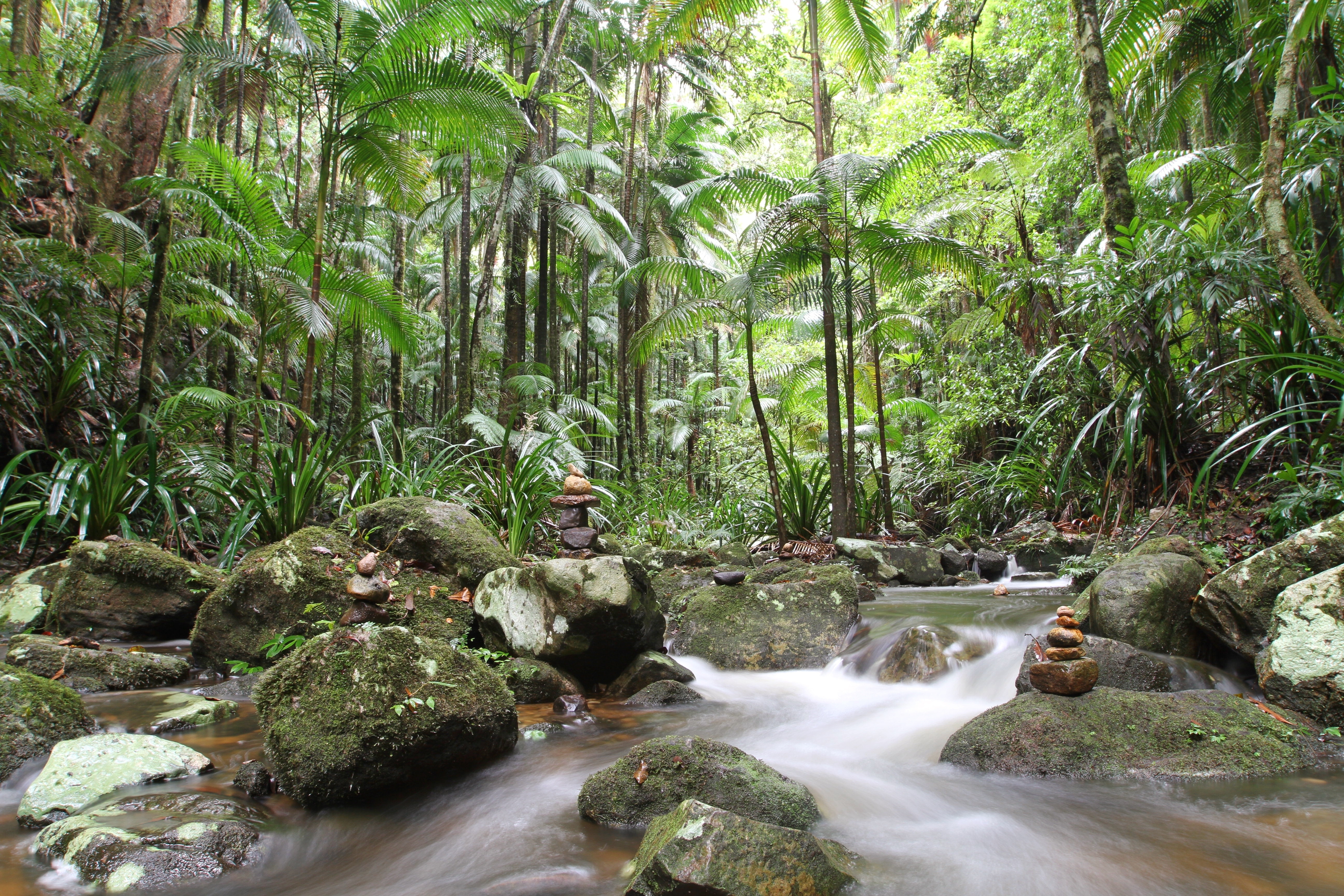 Our Guide to Byron Bay’s Hinterland