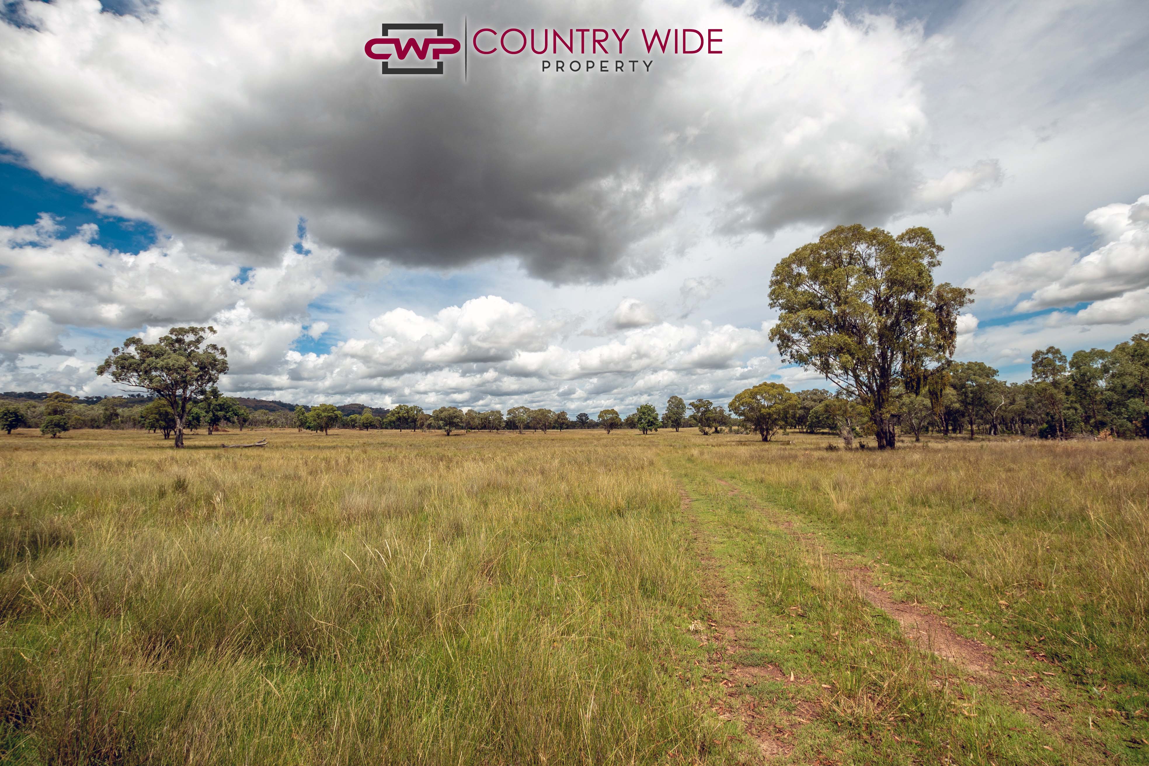 170 Northcotts Road, Glen Innes For Sale by Farmbuy.com - image 24
