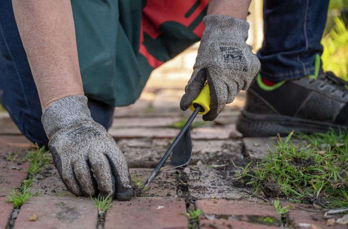 How to get rid of weeds between brick paving