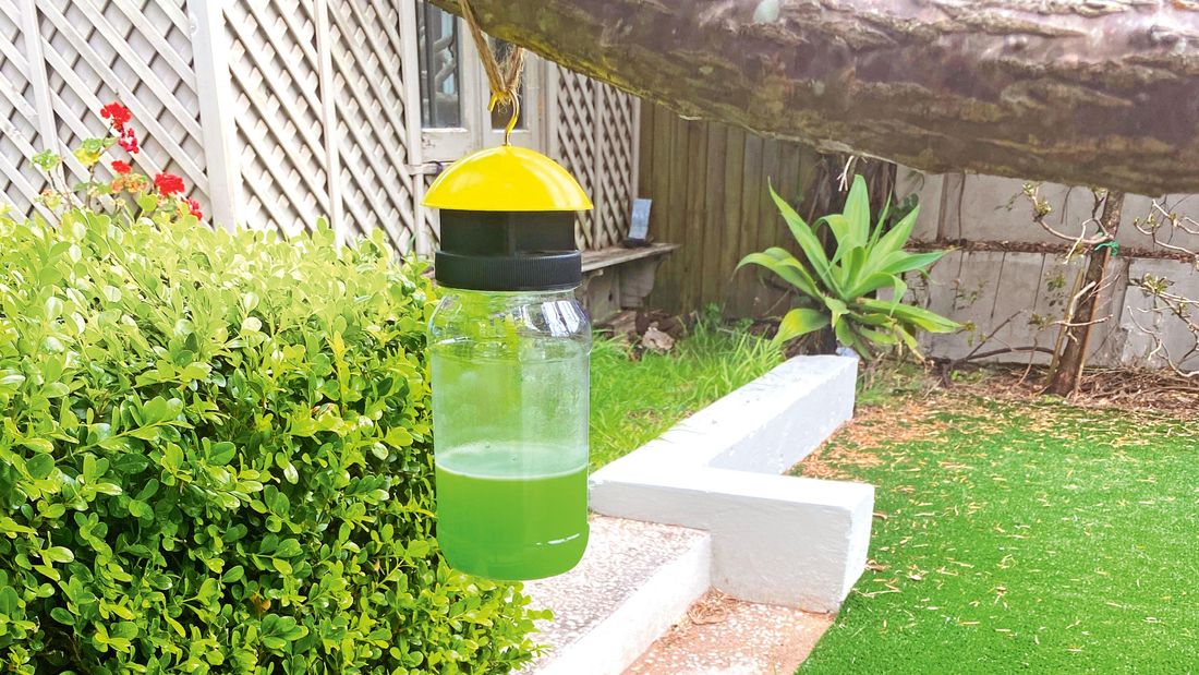 A non-toxic way to keep pests away in summer