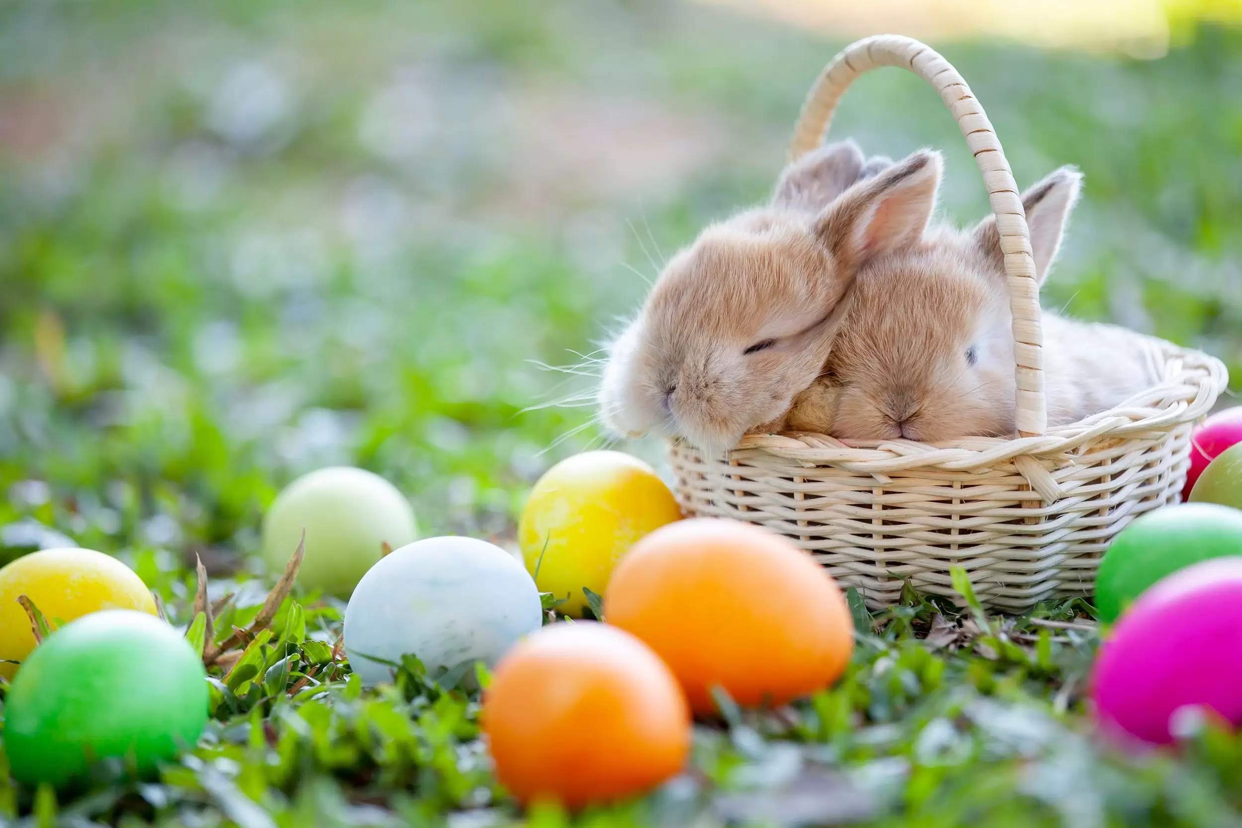 An Easter Egg hunt with a difference