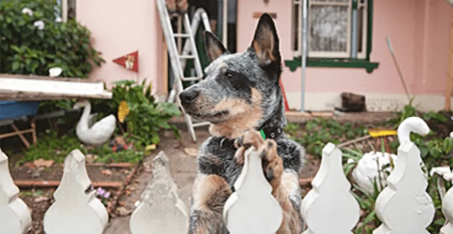 Renovate or relocate?