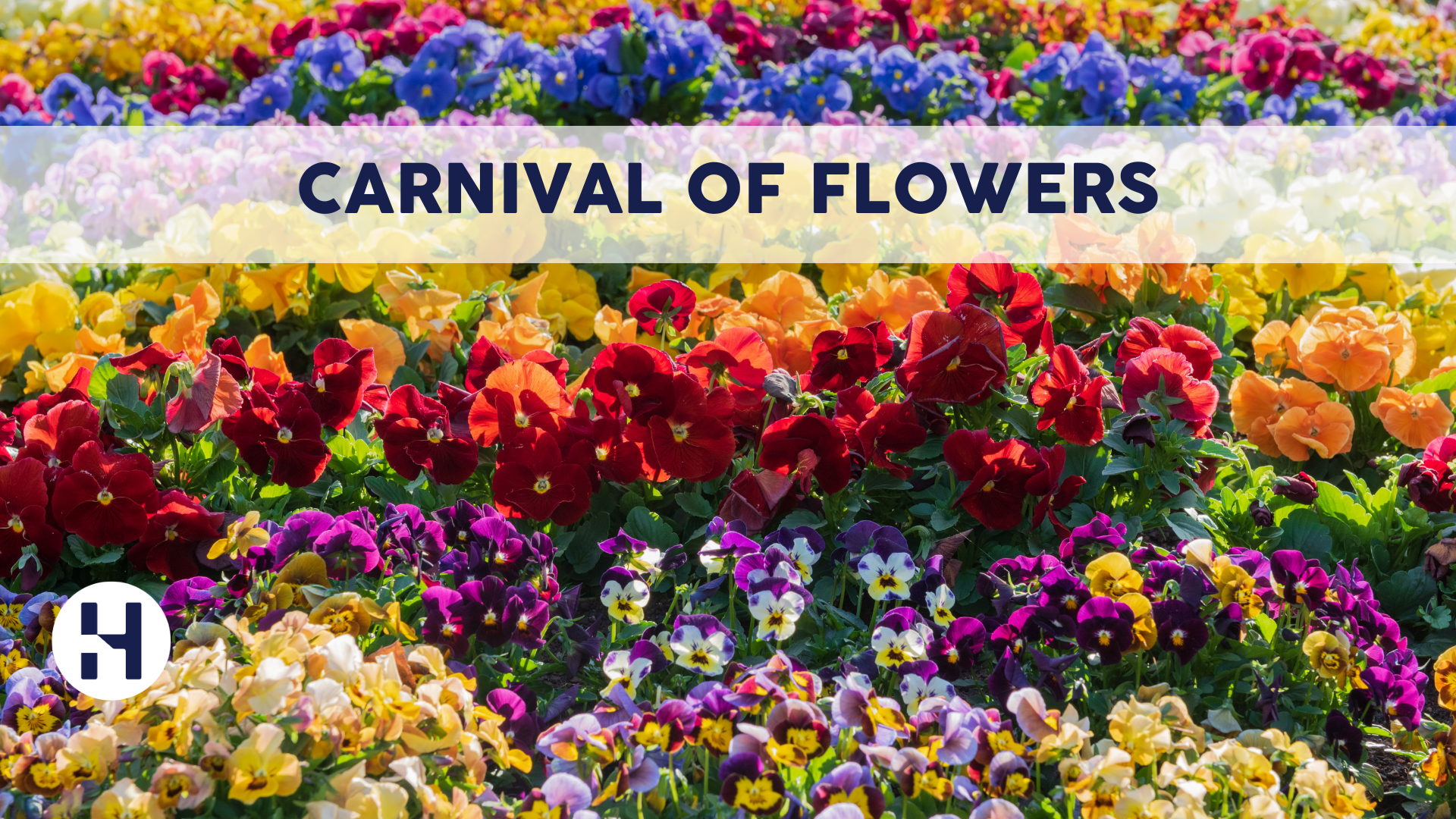 Hot Property Carnival of Flowers Painting