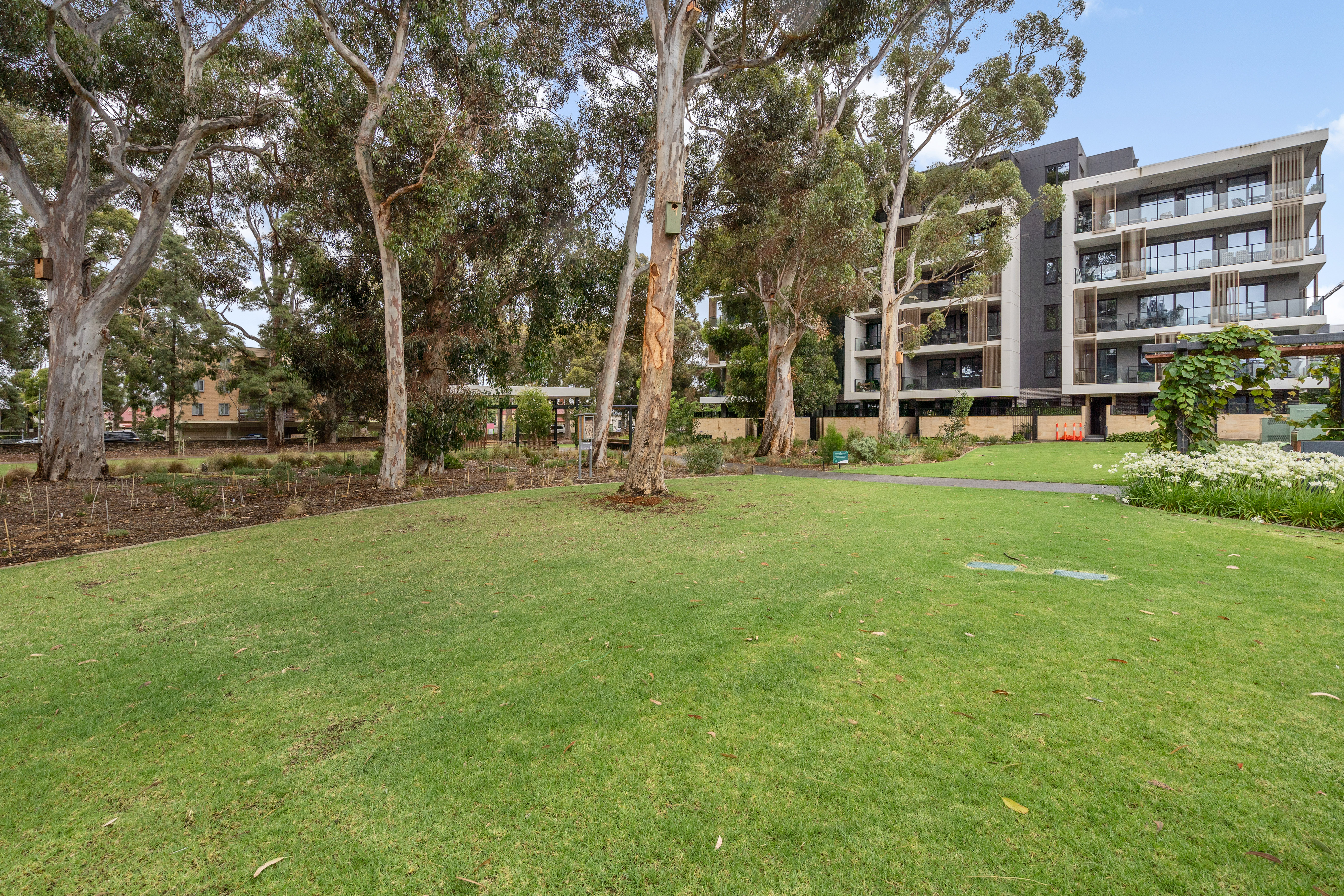 215 / 3 Banksia Street, Glenside
