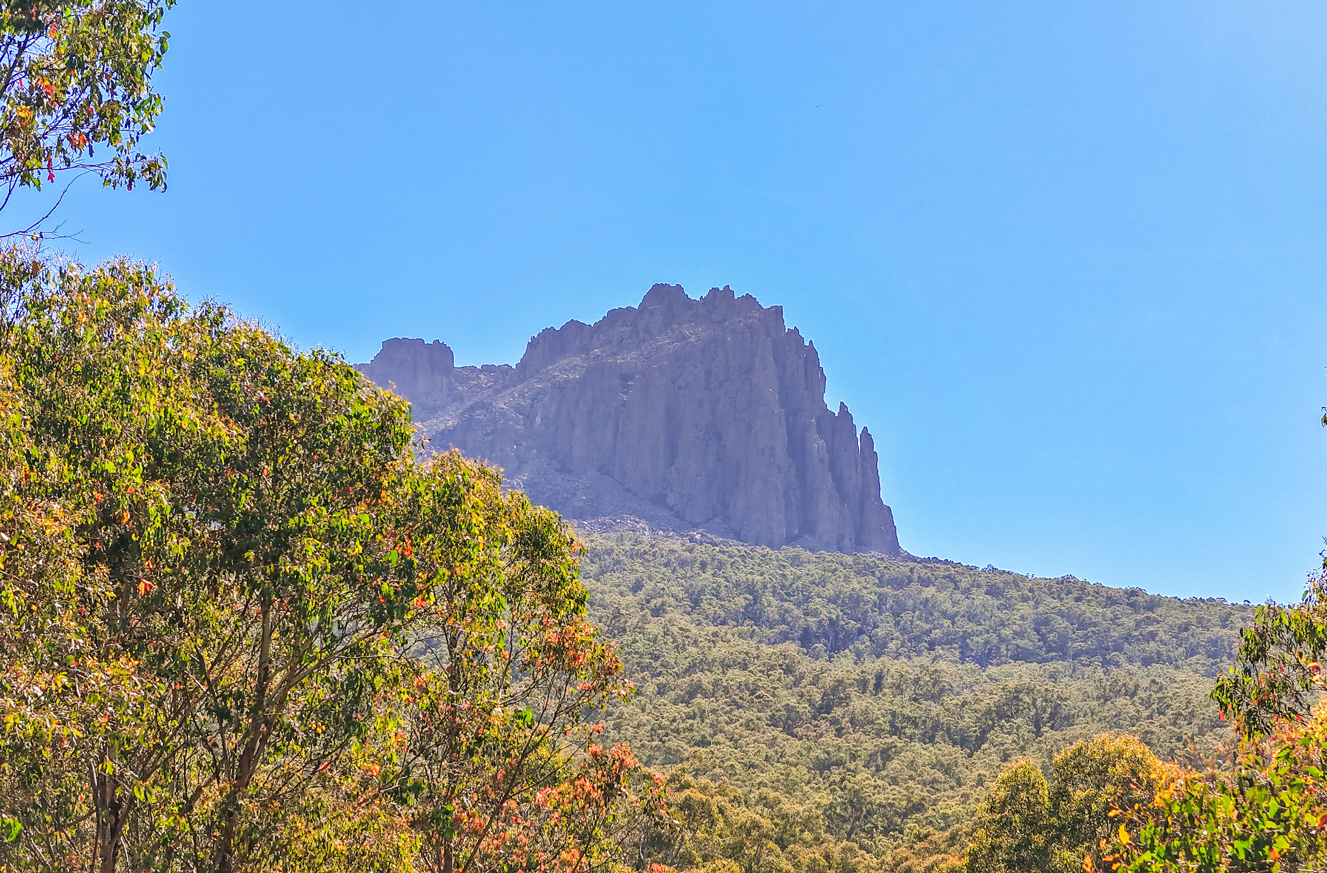 PID 9190865 Gipps Creek Road, Rossarden TAS 7213