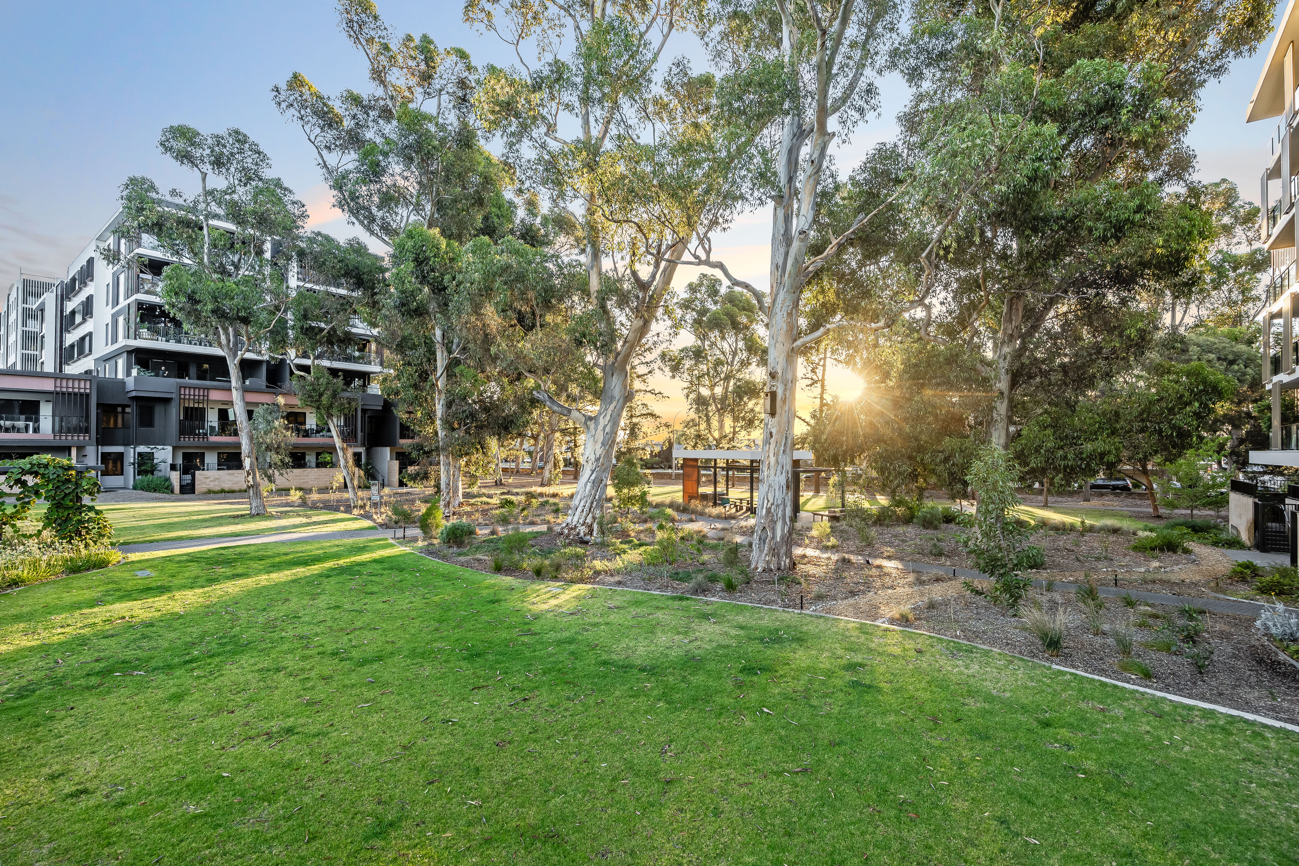 507 / 3 Banksia Street, Glenside