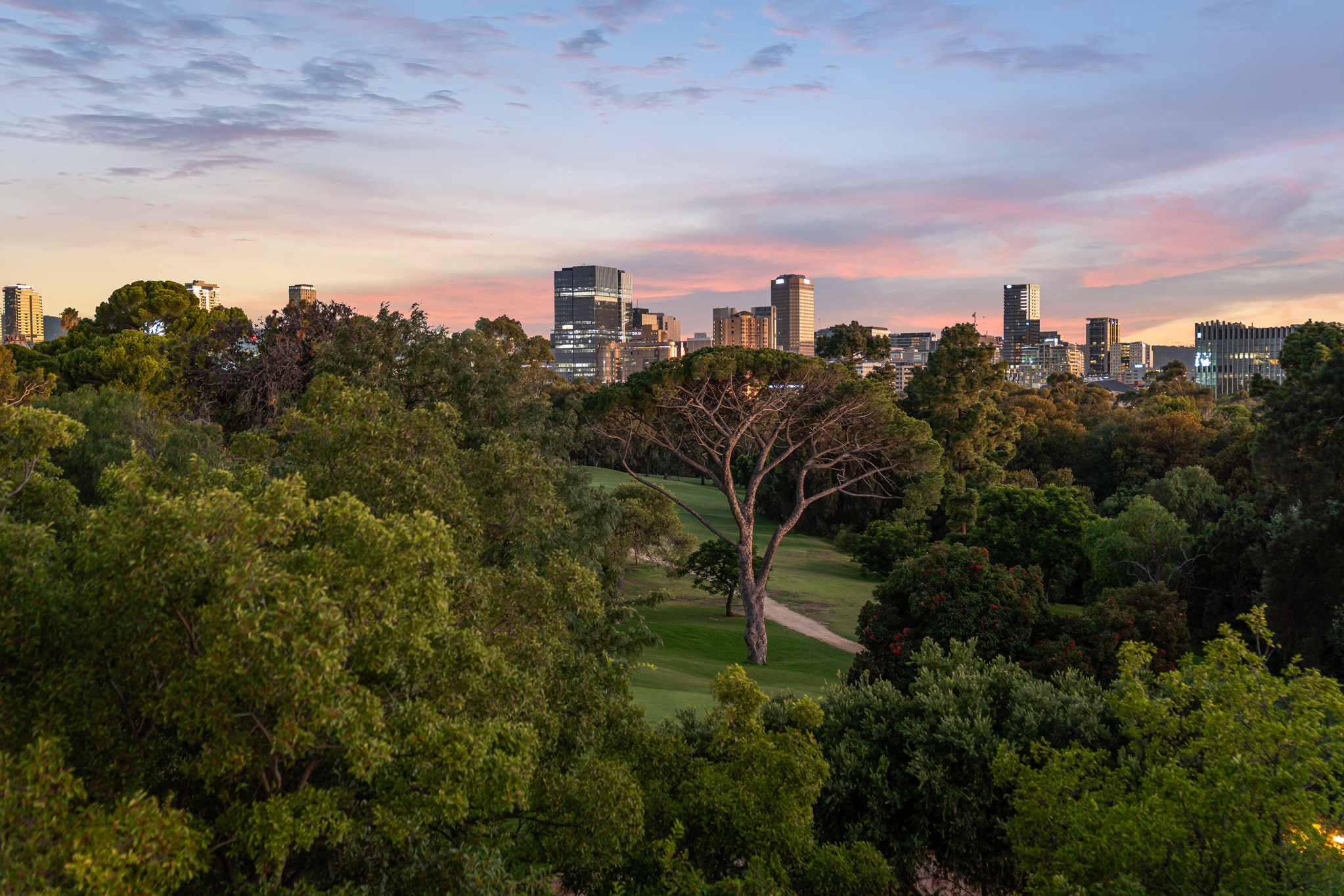 65 Strangways Terrace, North Adelaide