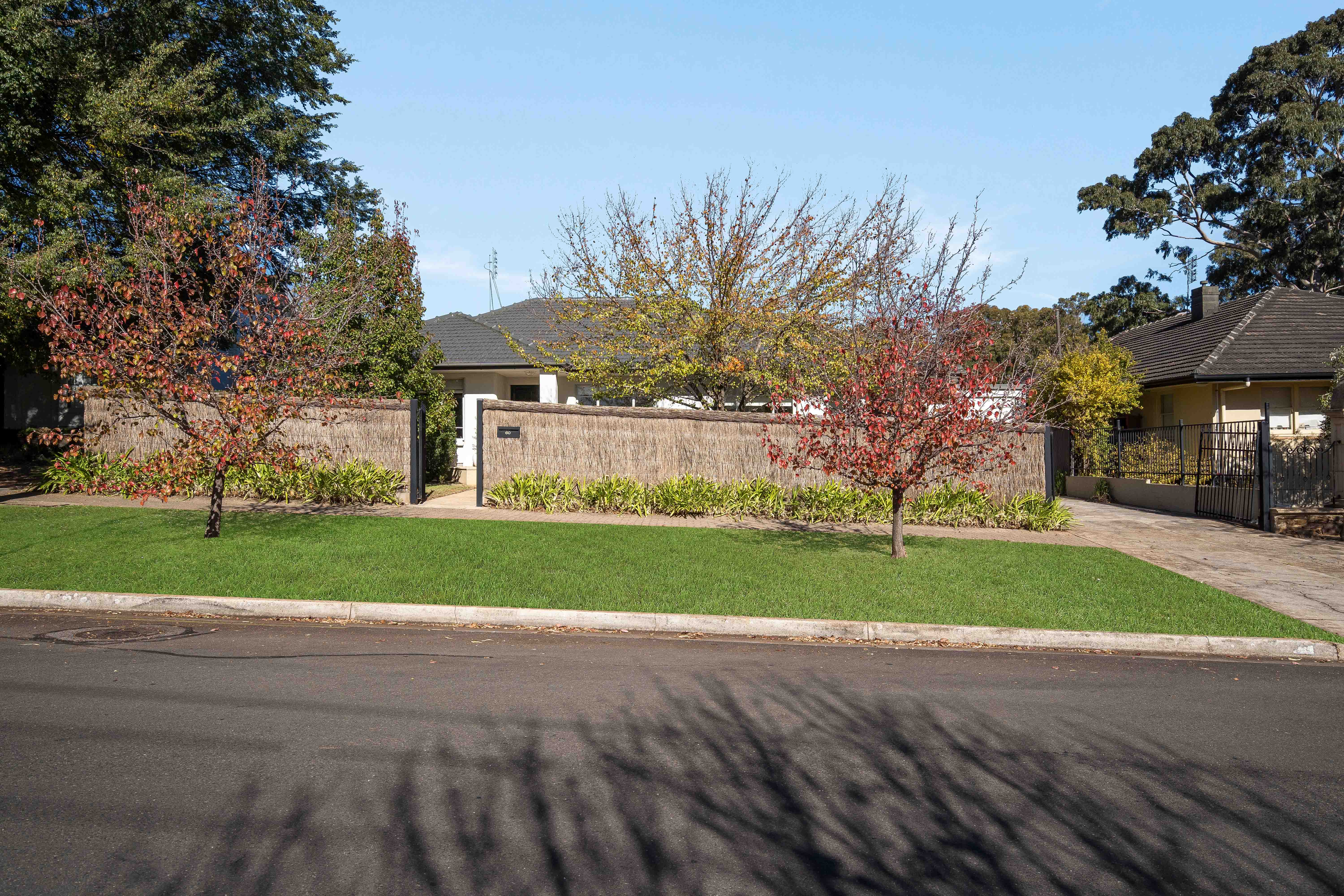 60 Park Avenue, Rosslyn Park
