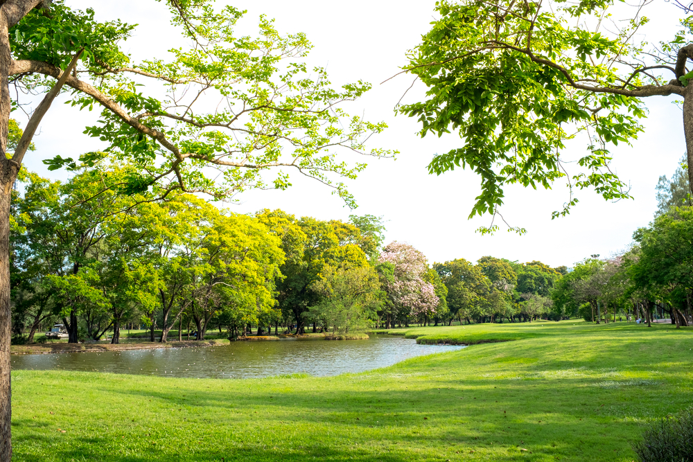 Golf Course Course Estates