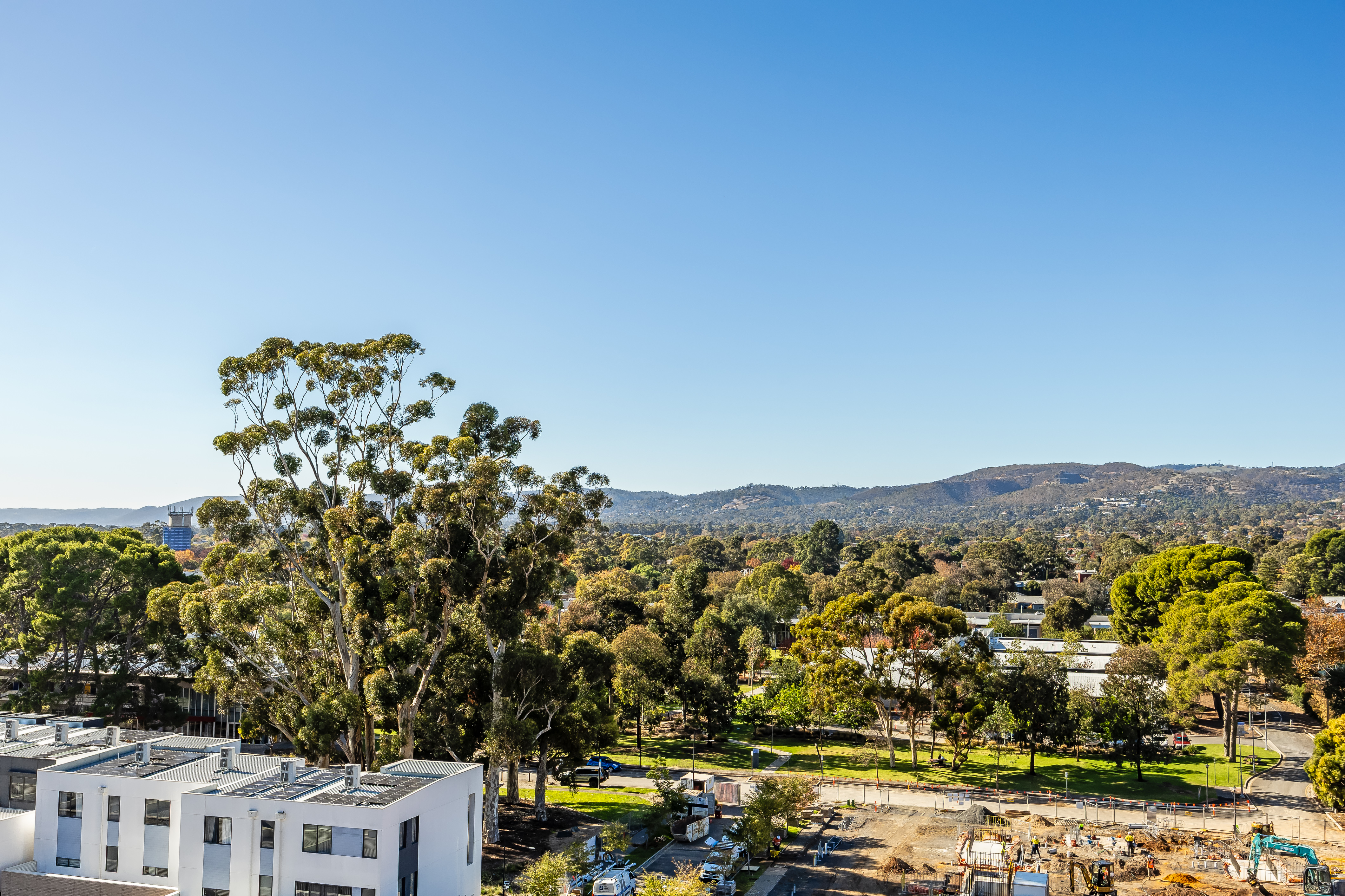 803 / 9 Banksia Street , Glenside