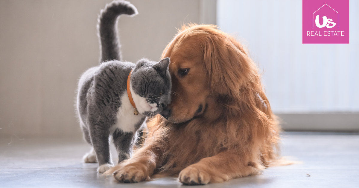 How Pets Can Affect the Sale of Your Home