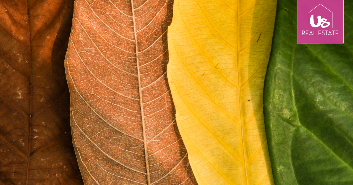 Seasonal Tips for Leasing Your Property