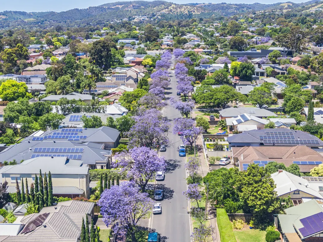 July property market update (2025)