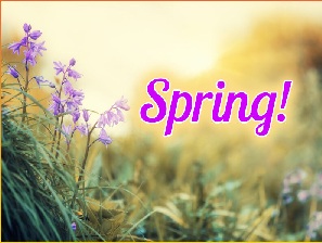 Spring Property Market 2025: What to Expect