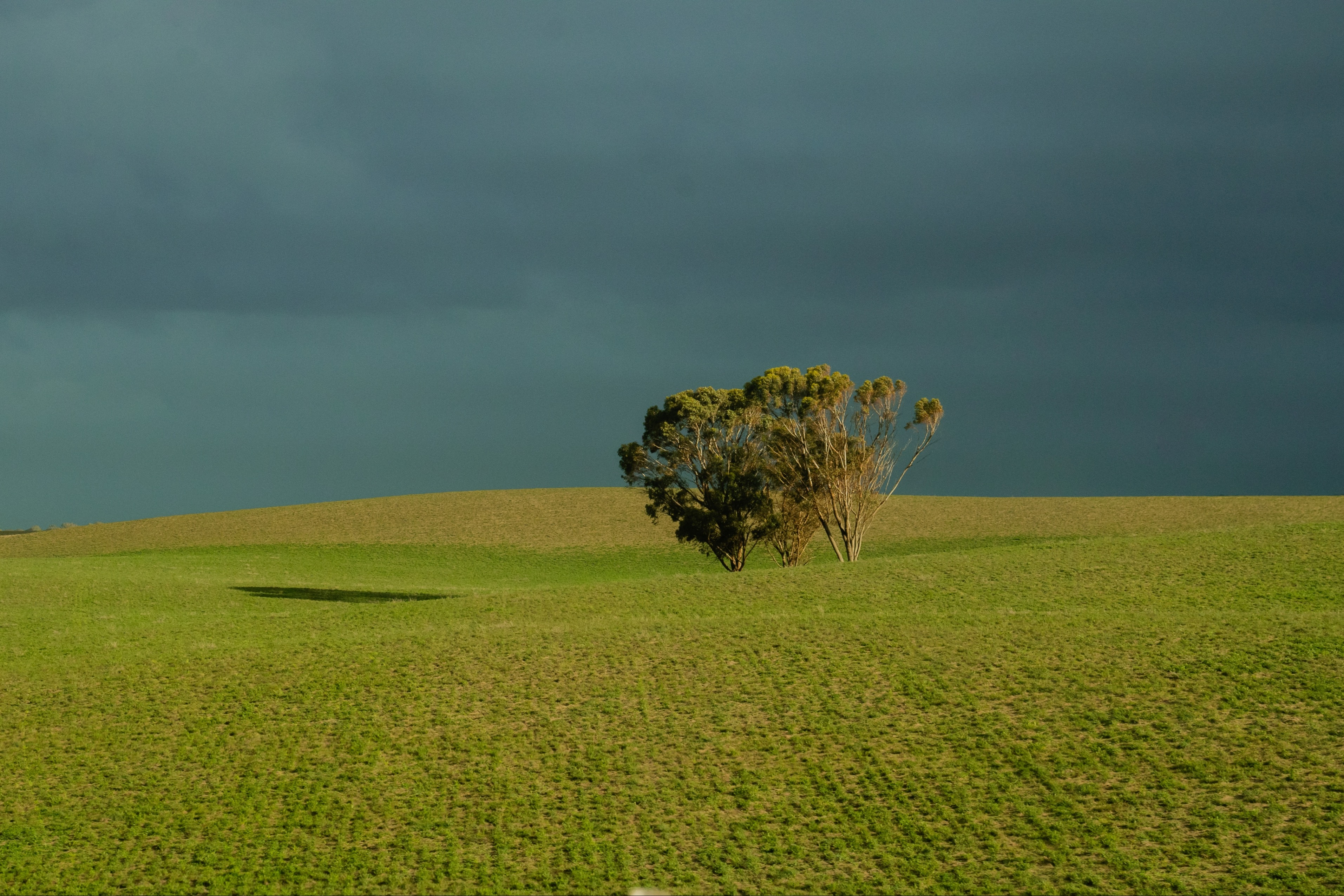 565 Gordon Road, Meningie East SA 5264