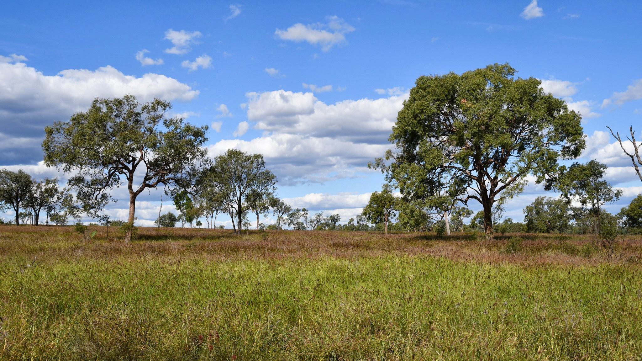 360 Sewells Walloon Road, Castle Creek For Sale by Farmbuy.com - image 5