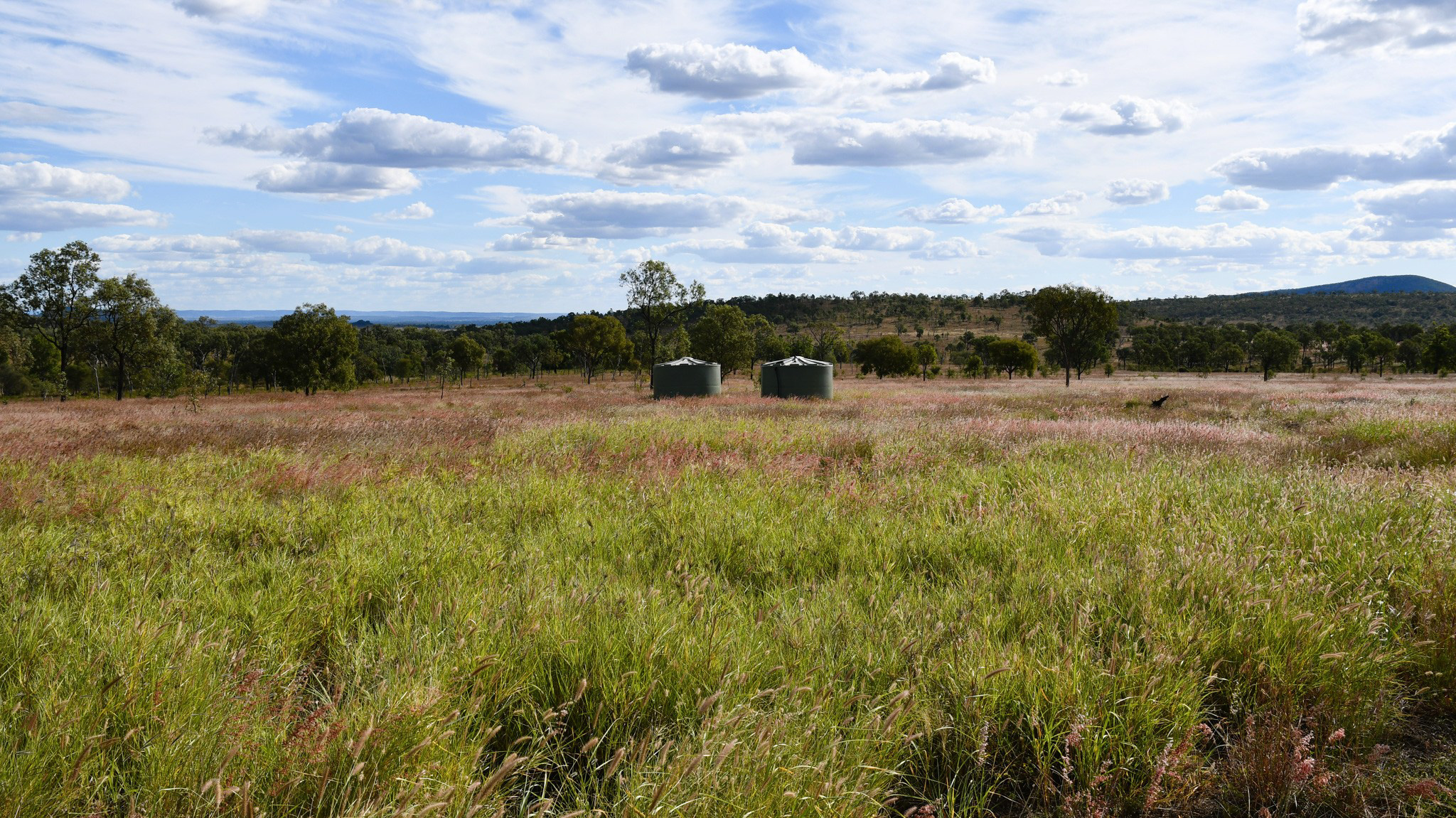 360 Sewells Walloon Road, Castle Creek For Sale by Farmbuy.com - image 7