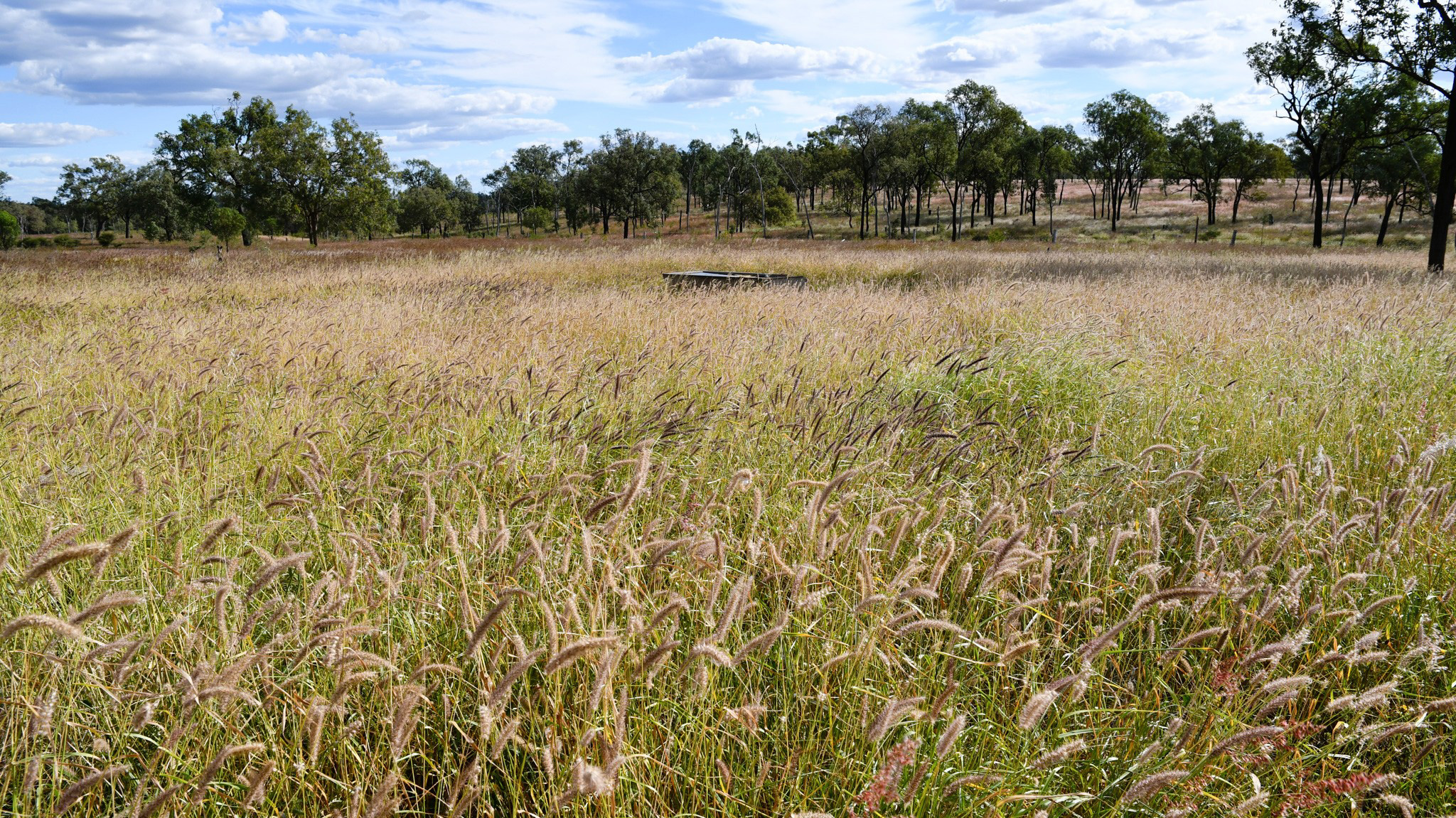 360 Sewells Walloon Road, Castle Creek QLD 4715