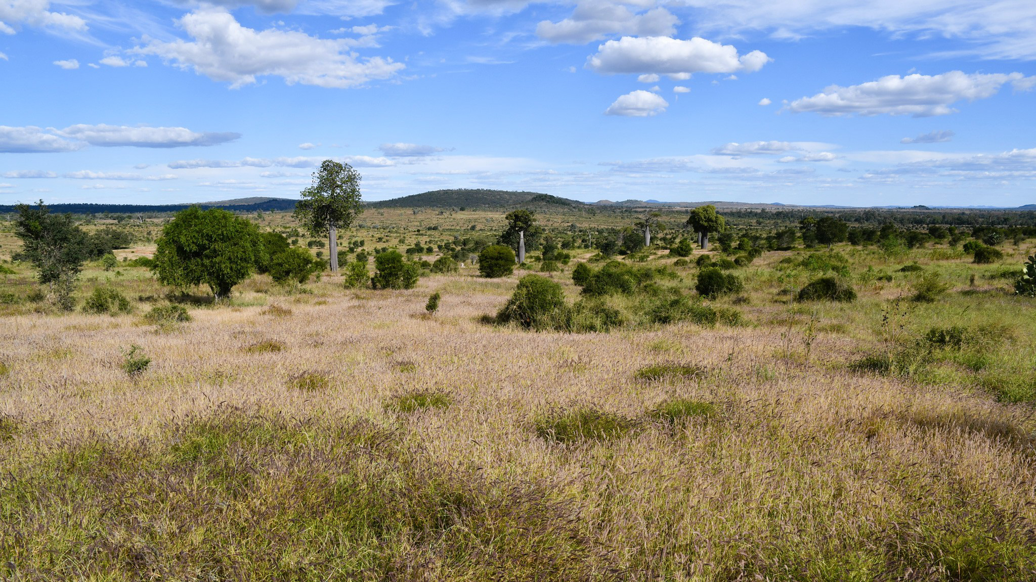 360 Sewells Walloon Road, Castle Creek For Sale by Farmbuy.com - image 6