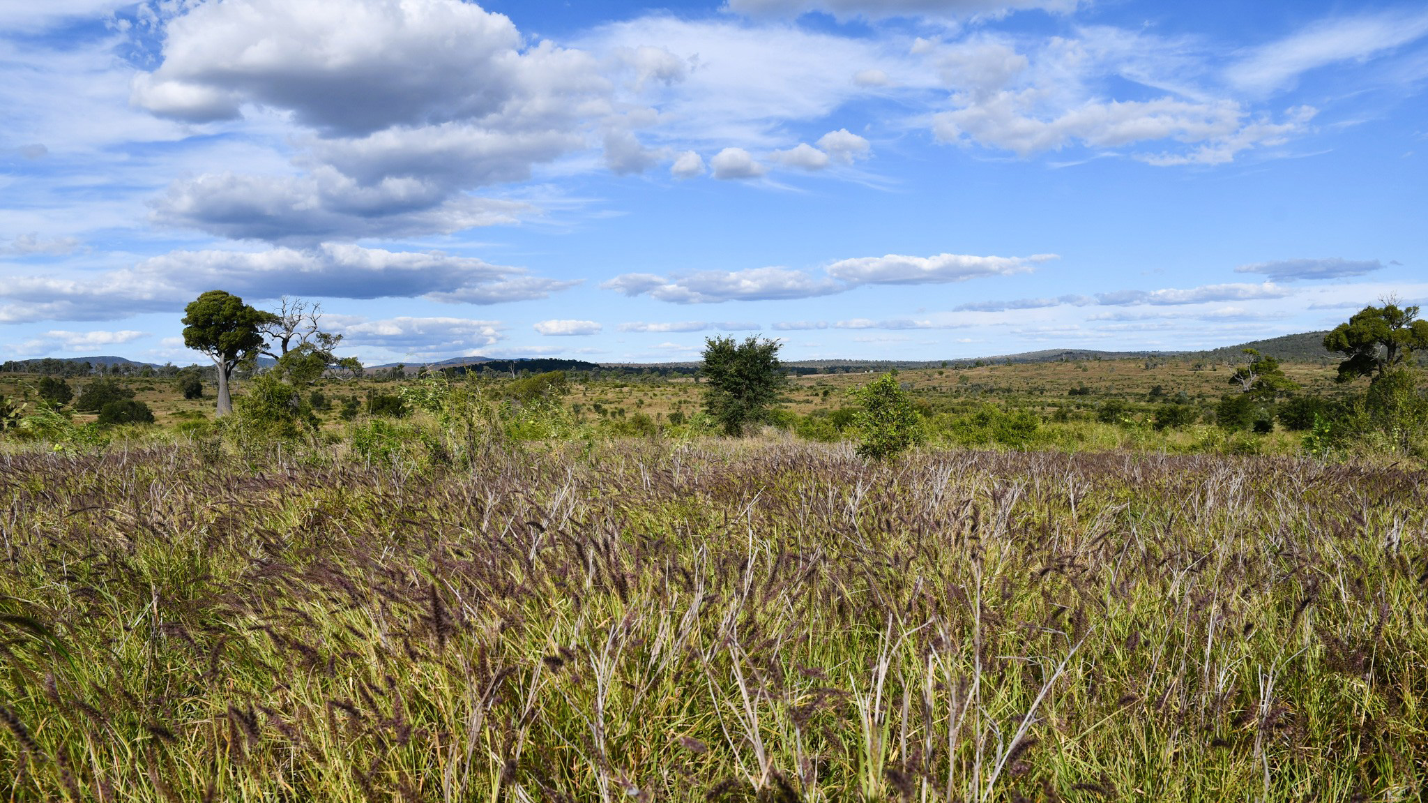 360 Sewells Walloon Road, Castle Creek For Sale by Farmbuy.com - image 4